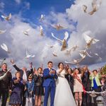Дарья Капитанова:  Свадебный фотограф - фотограф на свадьбу