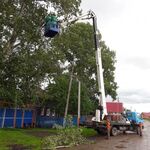 Владислав:  Спил деревьев удаление аварийных деревьев с вывозом цена за дерево