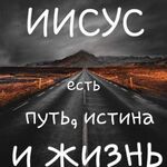 Инесса:  помощь по хозяйству: уборка; выгул собак;  помощь с детьми.