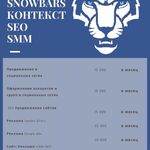 Татьяна Волкова:  Настройка контекстной рекламы