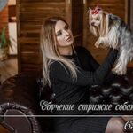 Умка:  Курсы груминга. Обучение стрижке собак и кошек. 