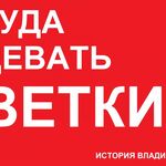 Дмитрий :  ЧТО ДЕЛАТЬ С ВЕТКАМИ?! История Владимира.СЕКРЕТ УТИЛИЗАЦИИ. 