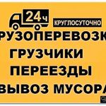 Владимир:  Услуги по грузоперевозкам 