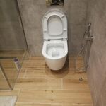Виктор:  Ремонт туалета в Дубне