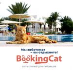 BookingCat:  Зоогостиница, Передержка, Груминг салон