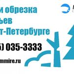 Данила:  Услуги по спилу и обрезанию деревьев в Санкт-Петербурге