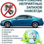 Сергей:  Удаление запахов в автомобилях и квартирах с гарантией