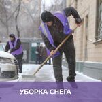 MYSTAFF:  Разнорабочий