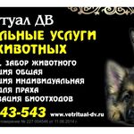 Анастасия:  Ритуальные услуги для животных ВетРитуал ДВ