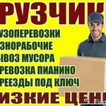 Дмитрий:  Грузчики/ Переезды