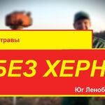 Дмитрий :  Покос высокой травы СПб и Ленобласть. Удаленная работа. 