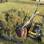 Андрей Не фирма:  Скарификация-вычёсывание газона, стрижка