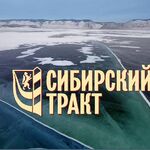 Евгений :  Вызов Газель. Вывоз мусора 