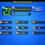 Тимур :  Опытный тренер Brawl Stars