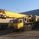 Спартак:  Автокран Liebherr 80тн