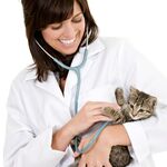 лана:  ветеринарный врач