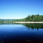 Сергей Владимирович:  Устройство прудов и водоемов. Очистка водоемов.