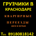 Артём Ершов:  Грузчики в Краснодаре  