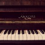 вячеслав:  Настройка и ремонт пианино