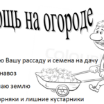 Александр:  Помощь на огороде