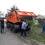 Олег евгеньевич:  Вывоз Веток мусора с дачи в Омске