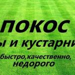 Александр:  Покос травы и газона на Вашем участке