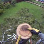 Артём:  Расчистка участков, удаление деревьев, демонтаж