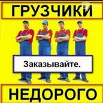 Виталий:  Грузчики! 