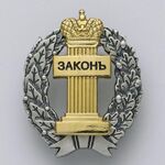 Башкирцева Оксана Борисовна:  Адвокатская практика