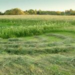 Алексей:  Покосить траву Наро-Фоминск