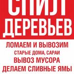 Алексей:  Спил деревьев любой сложности