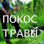 алексей:  СКОС ТРАВЫ