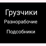 Алексей:  Услуги разнорабочих