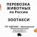 Ваш Логист:  Перевозка животных Новороссийск