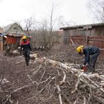 Дмитрий:  Расчистка участков