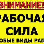 Александр:  Ручная копка..Демонтаж любой сложности