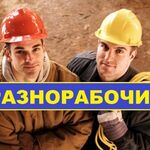 Дмитрий:  Услуги разнорабочих, подсобных рабочих
