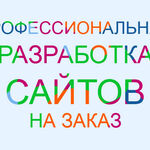 Андрей:  Индивидуальная разработка сайта под цели Вашего бизнеса