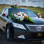 Жанна :  аренда Toyota Camry на свадьбу 