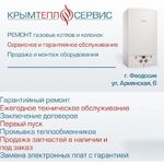 Александр:  Ремонт газовых котлов и колонок