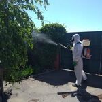 Виталий:  Опрыскивание сада от вредителей комаров