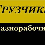 Геннадий:  Разнорабочие, грузчики, землекопы. Есть ночные смены.