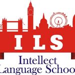 Диана:  Intellect Language school – Школа иностранных языков в Красной Пахре