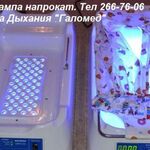 Александра:  Фотолампа для лечения желтушки новорожденных