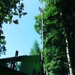 Артём:  Спил и обрезка деревьев. Наро-Фоминск 