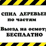 Павел:  Спил деревьев частями в Новосибирске и НСО