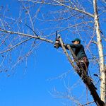 Олег:  Спил деревьев уборка территории демонтаж мелких строений