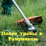 Наталья:  Профессиональный покос травы