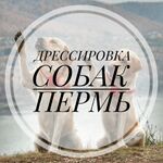 мария:  Дрессировка/хендлинг собак