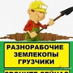 Александр :  Земляные работы /Ручная копка 